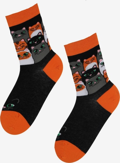 Sokisahtel Socken 'CATS PARTY funky colourful socks with cats' in 36-40 in mischfarben, Produktansicht