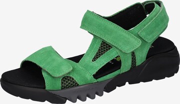 WALDLÄUFER Hiking Sandals in Green: front