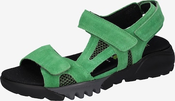 WALDLÄUFER Hiking Sandals in Green: front