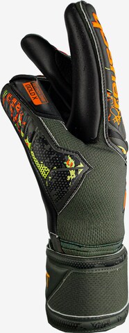 REUSCH Torwarthandschuhe 'Attrakt Gold X' in Schwarz