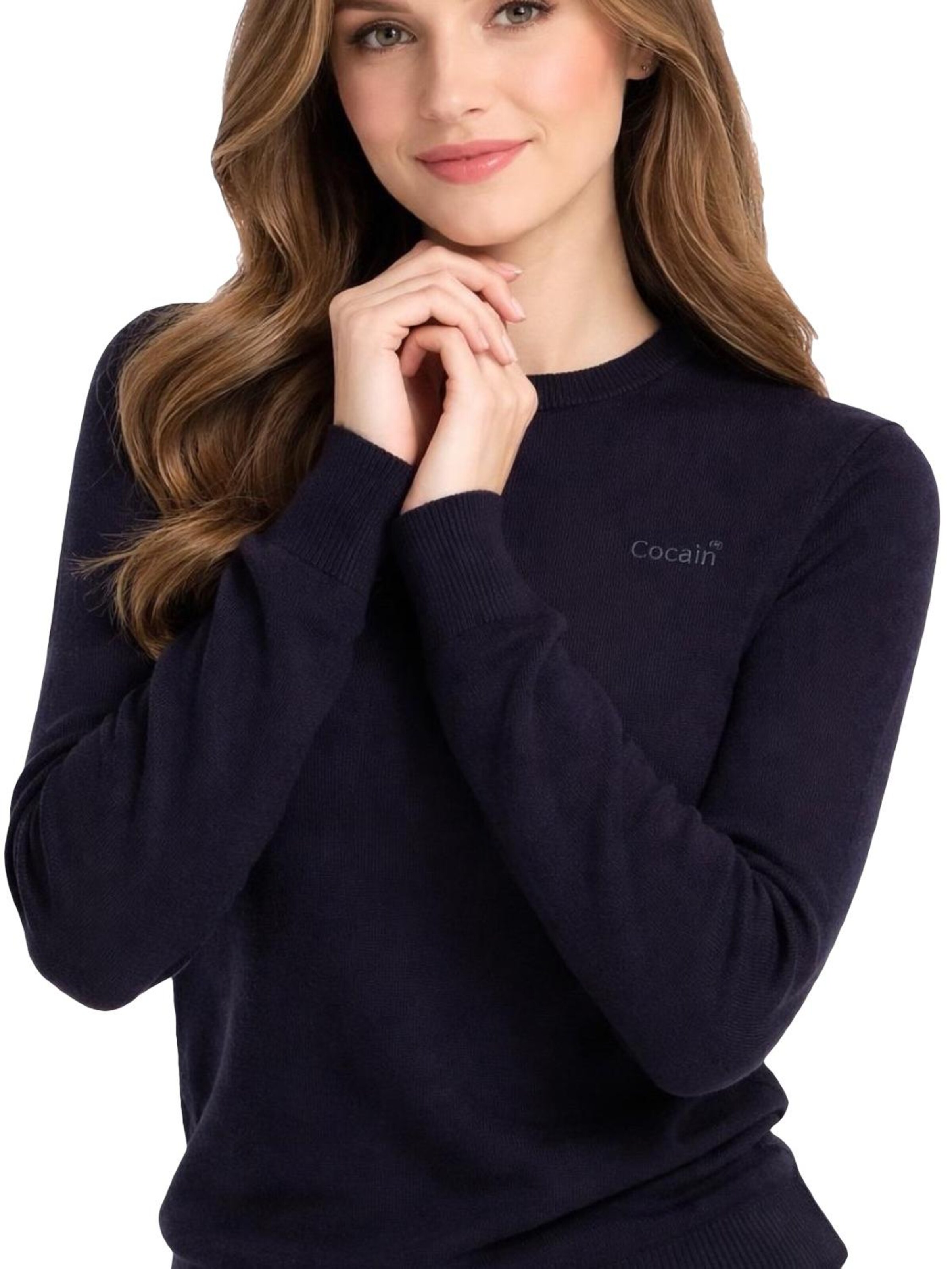 Cocain Underwear Sweater in Blue