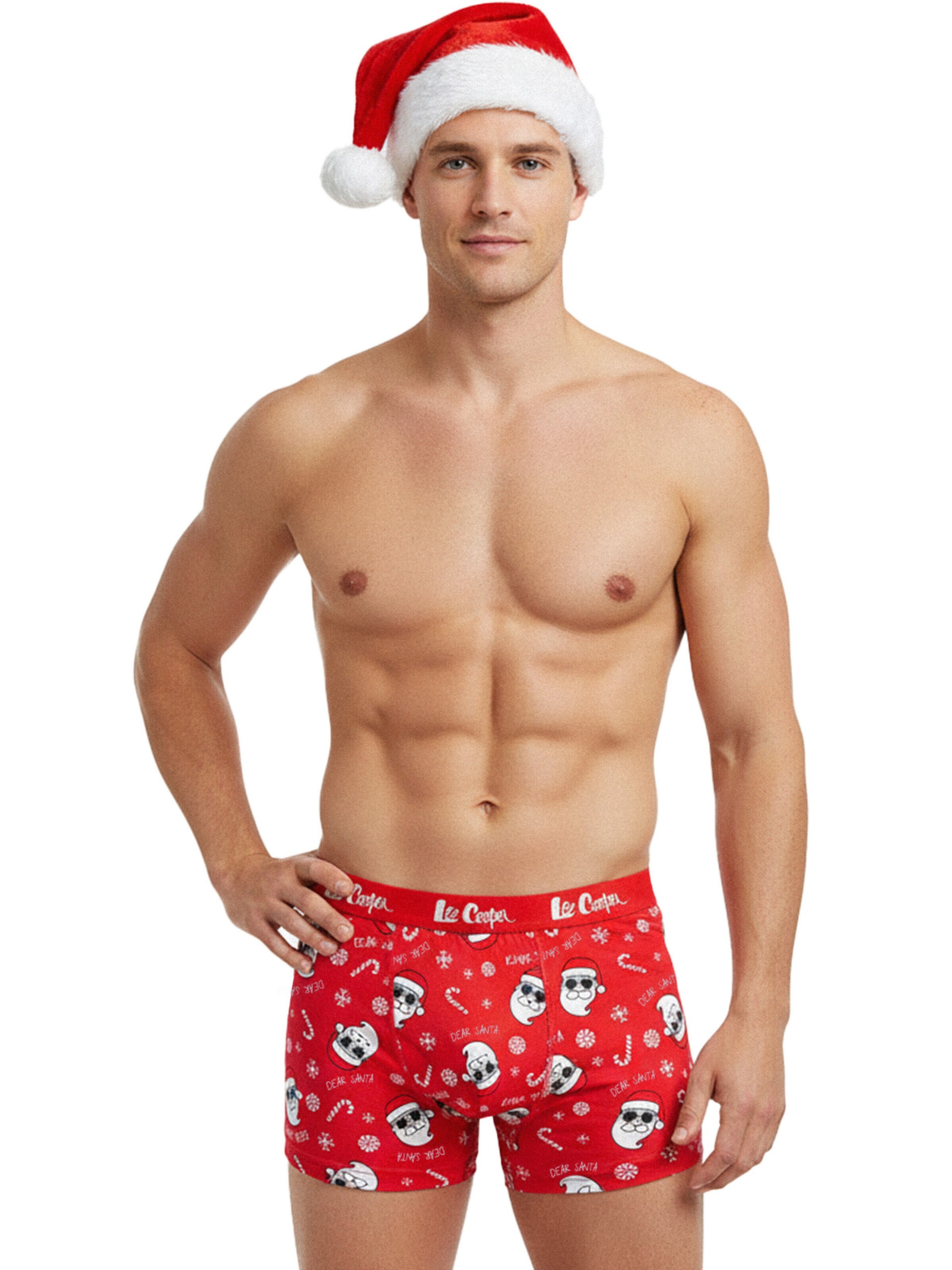Lee Cooper Boxer shorts 'Weihnachts' in Mixed colors