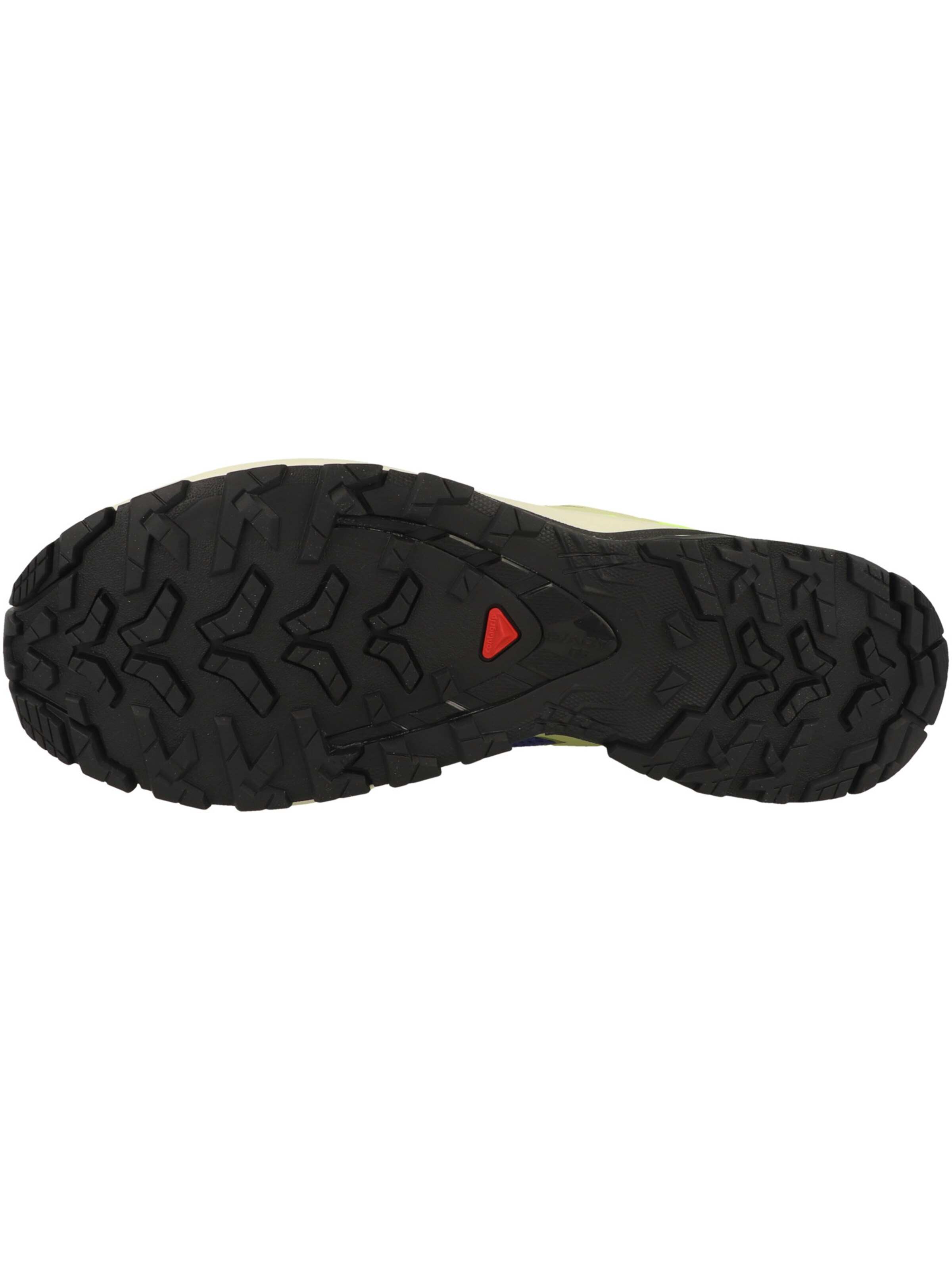 SALOMON Laufschuhe ' XA Pro 3D V9' in Blau: unten