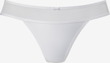 Tanga de la VIVANCE pe alb: față