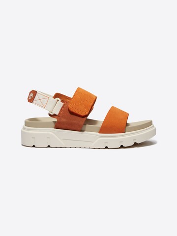 TIMBERLAND Sandaal in Oranje