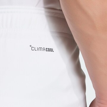 ADIDAS PERFORMANCE Regular Sports trousers 'Entrada26' in White