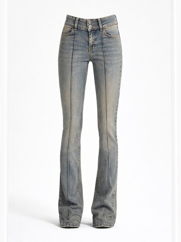 IT'S BASIC Skinny Jeans 'Skinny Low Rise Jeans' in Grijs: voorkant