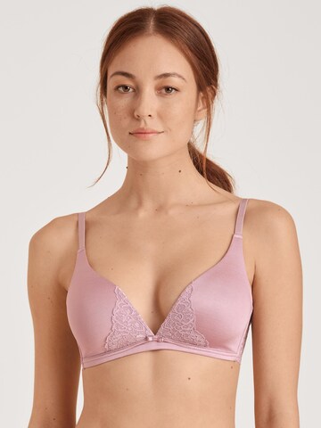 CALIDA Bustier BH 'Special'‌‌‌‌‌‌‌‌‌‌ in Lila