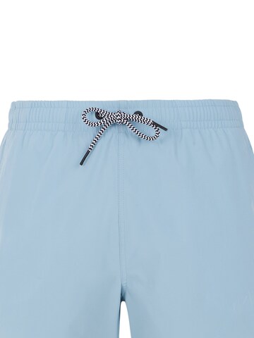 PROTEST Badeshorts 'PRTYESSINE' in Blau