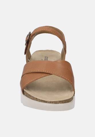 JOSEF SEIBEL Strap sandal 'Celine 03' in Beige