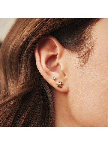 ANIA HAIE Ohrringe in Gold