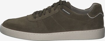 Pius Gabor Sneakers laag 'Pius 0537.14' in Groen