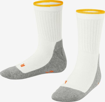 FALKE Socks 'Active Everyday' in White: front