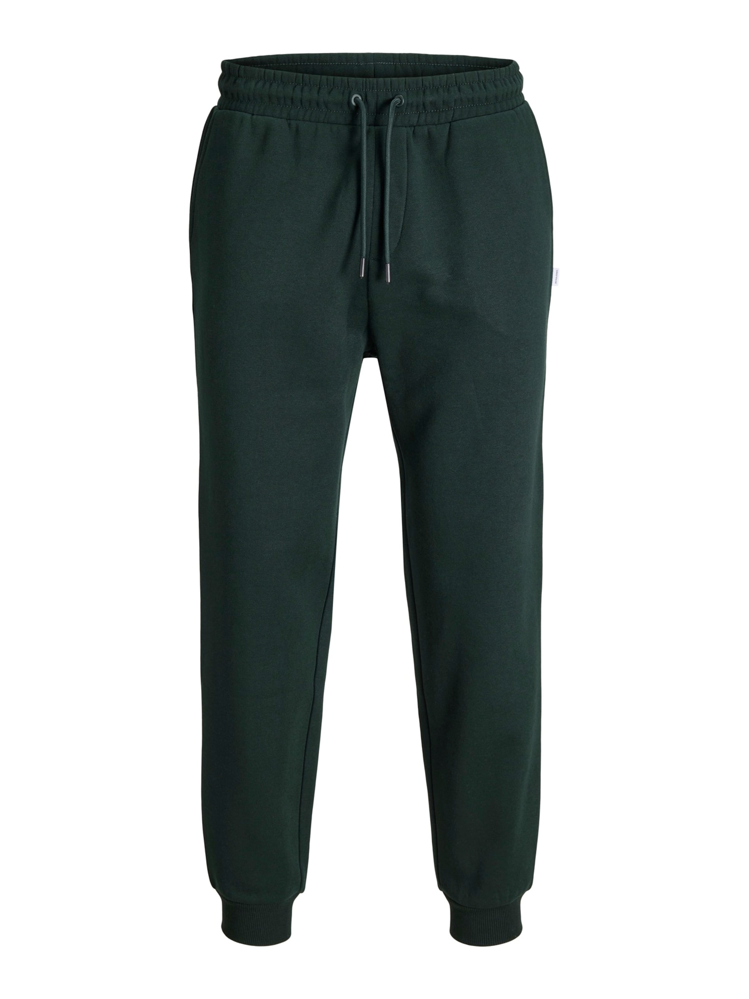 JACK & JONES Pantalon 'JPSTGORDON JJBRADLEY' en 31-32 en vert foncé, Vue avec produit