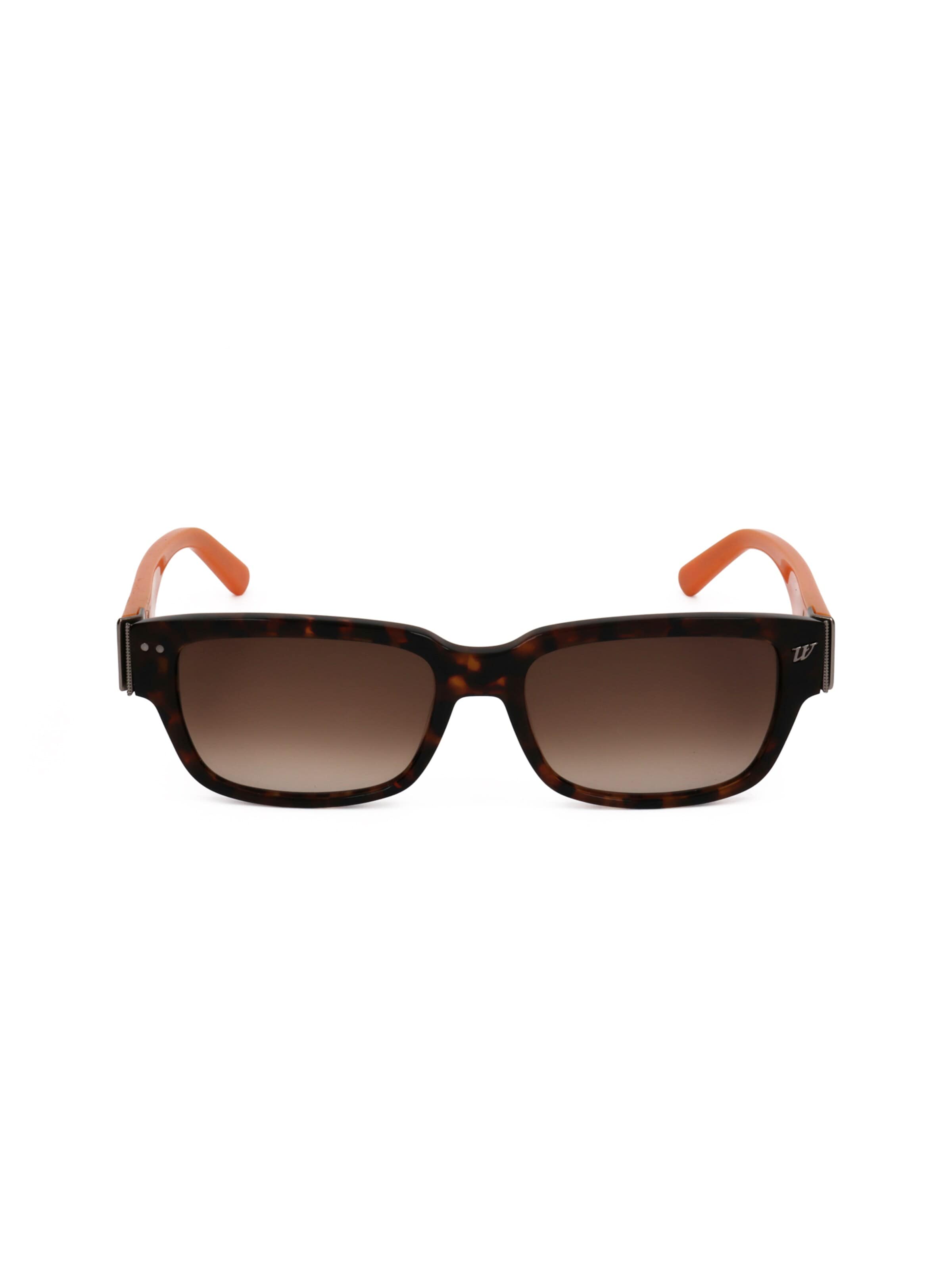Occhiali da sole 'WE0115' di Web Eyewear in marrone: frontale