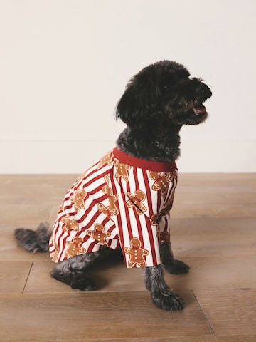 Next Аксессуары для домашних животных в Красный