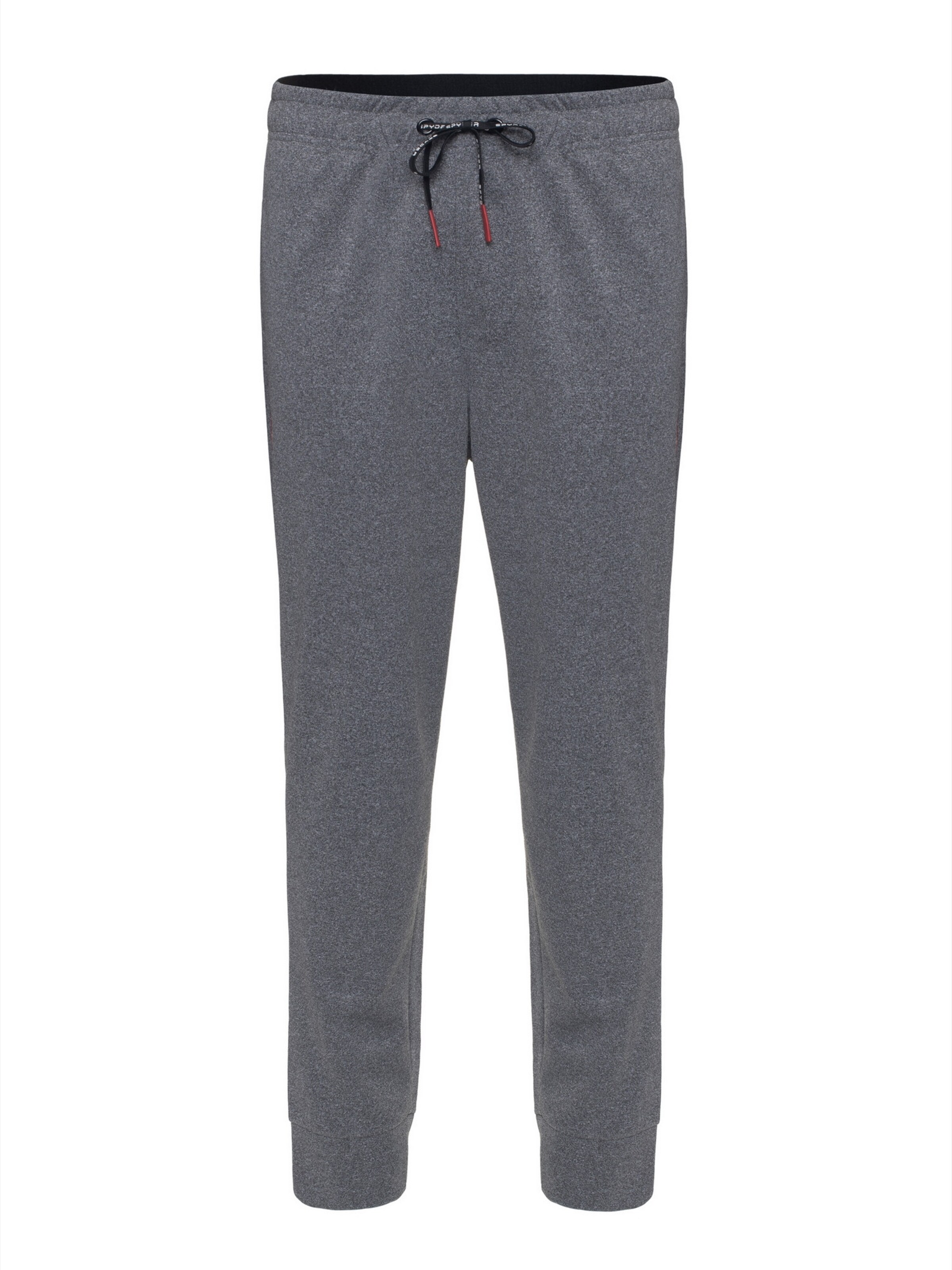 Spyder Regular Sportbyxa i grå: framsida