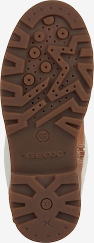 GEOX Stiefel in Braun