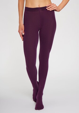 LAVANA Tights in Purple: front