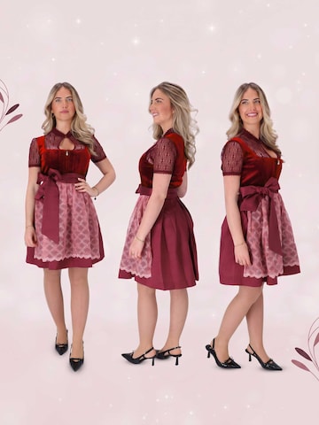 Steigenhöfer Dirndl 'Franziska' in Red