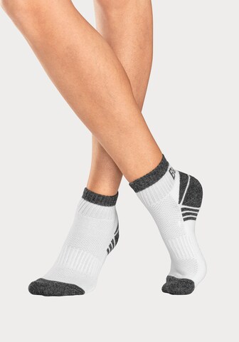BENCH Athletic Socks in White