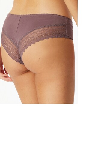 SCHIESSER Panty ' Modern Multipacks ' in Purple