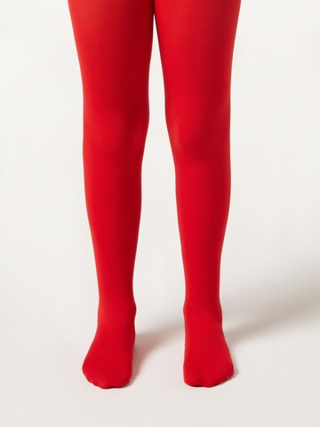CALZEDONIA Tights in Red: front