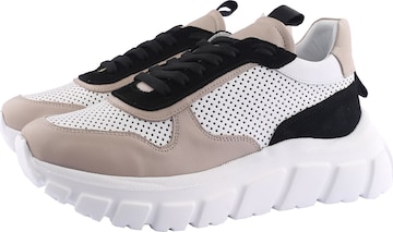 D.MoRo Shoes Sneakers in Pink: front
