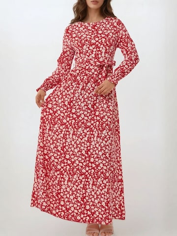 Hiccup Kleid in Rot