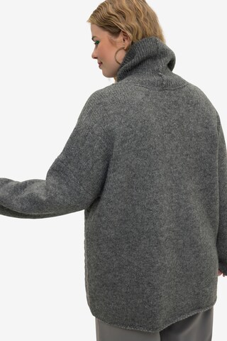 Pull-over Studio Untold en gris