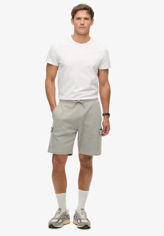 Superdry Regular Cargo trousers in Grey