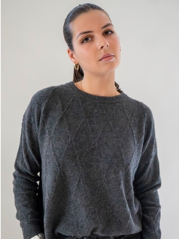 WEARABLE STORIES Trui 'Manou' in Grijs: voorkant