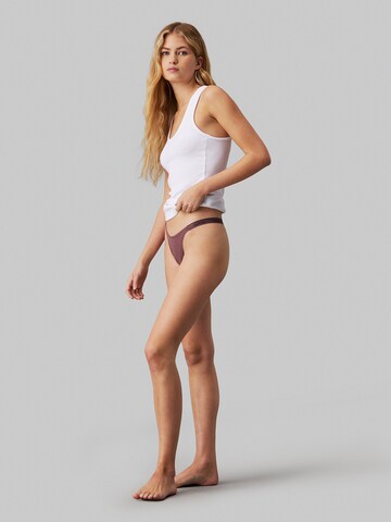 Calvin Klein Underwear String in Lila