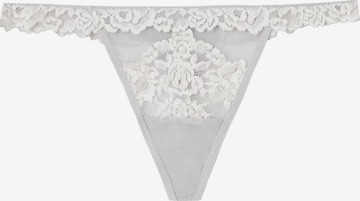 INTIMISSIMI Thong in Grey: front