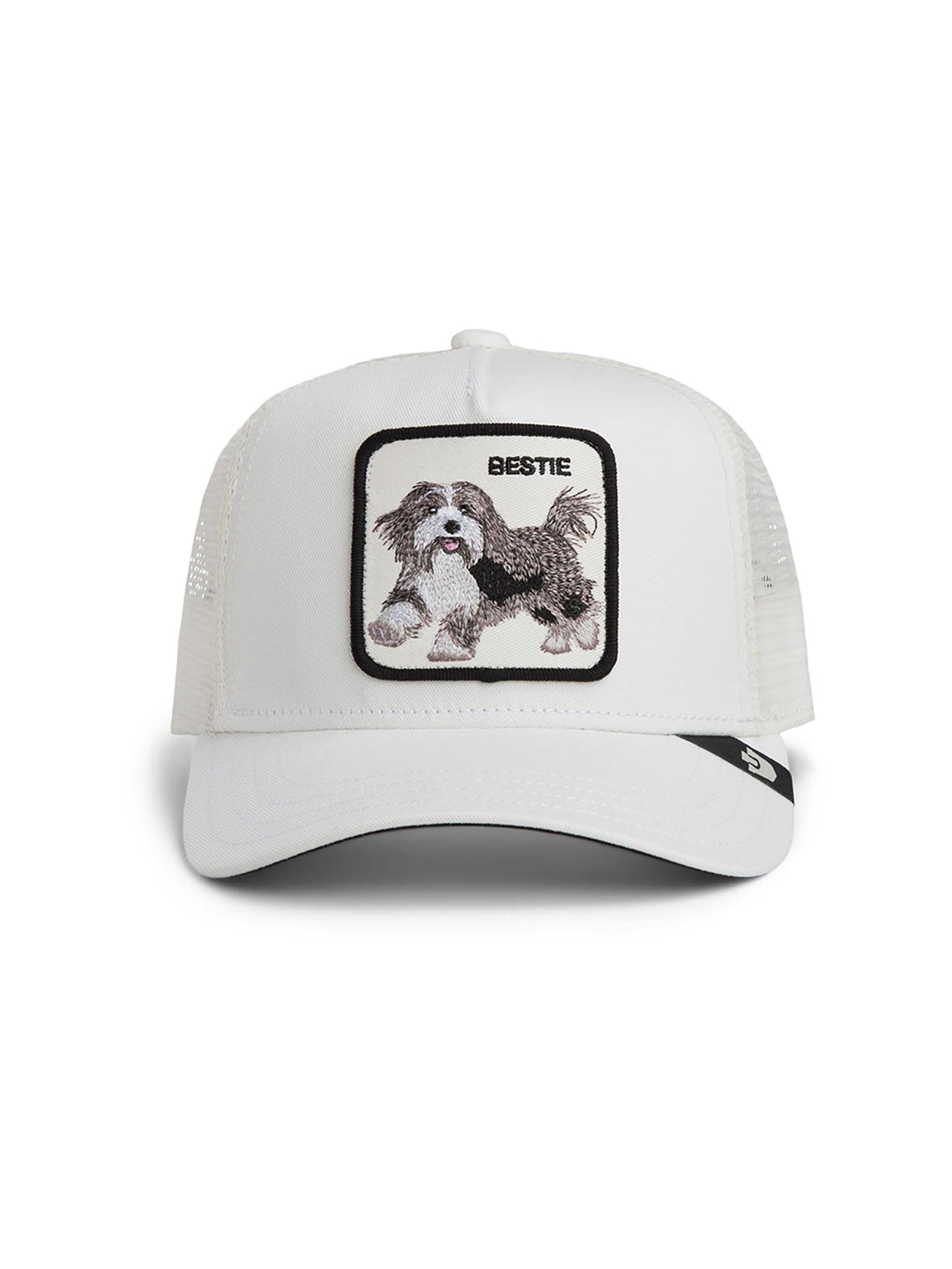 GOORIN Bros. Cap 'Bestie' in Beige: front