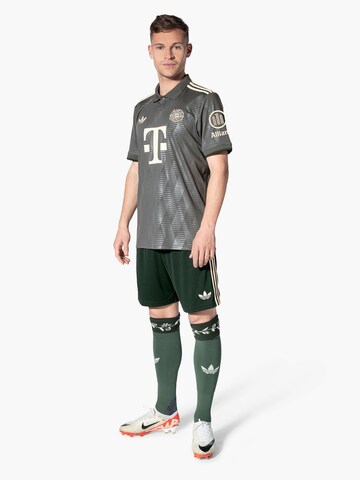 FC BAYERN MÜNCHEN Trikot 'FC Bayern München 2024' in Grau