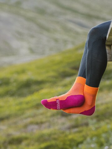 Chaussettes de sport 'Light Hiking Crew' DANISH ENDURANCE en orange : devant