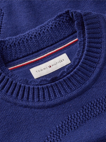 TOMMY HILFIGER Sweater in Blue