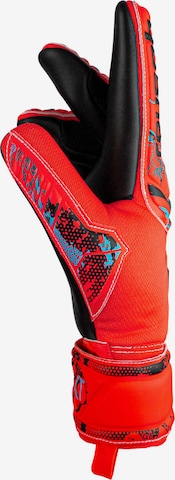 REUSCH Athletic Gloves 'Attrakt Grip Evolution' in Red