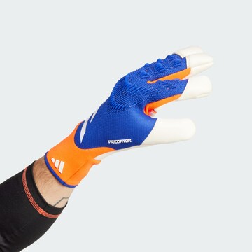 ADIDAS PERFORMANCE Sporthandschuhe 'Predator Pro Hybrid' in Blau