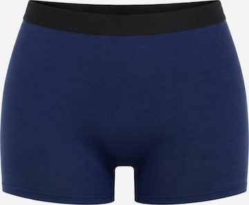 True North Boyshorts 'Boyshort' in Blue: front