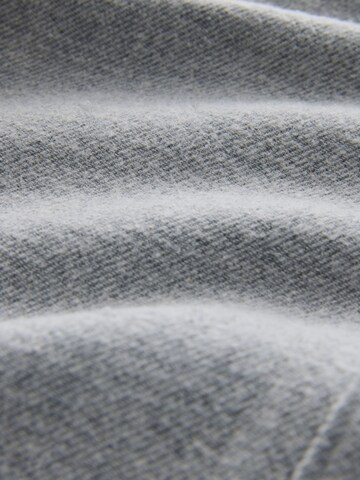 Next Regular Fit Hemd in Grau