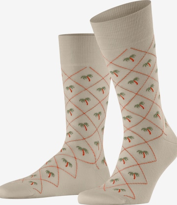 BURLINGTON Socks 'Palm Tree' in Grey: front