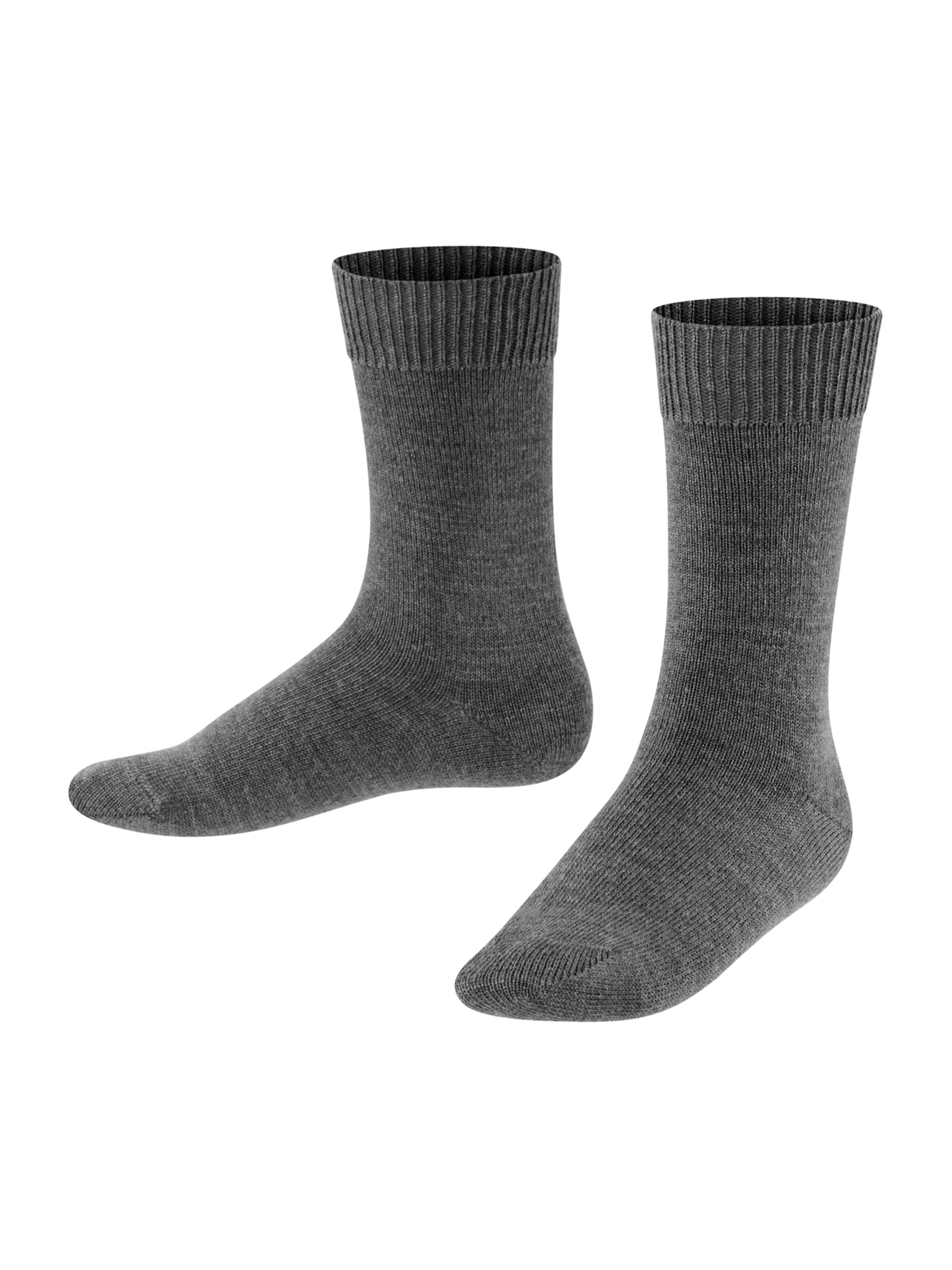 Calzino di FALKE in grigio: frontale