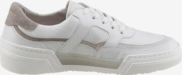 GABOR Sneaker in Weiß