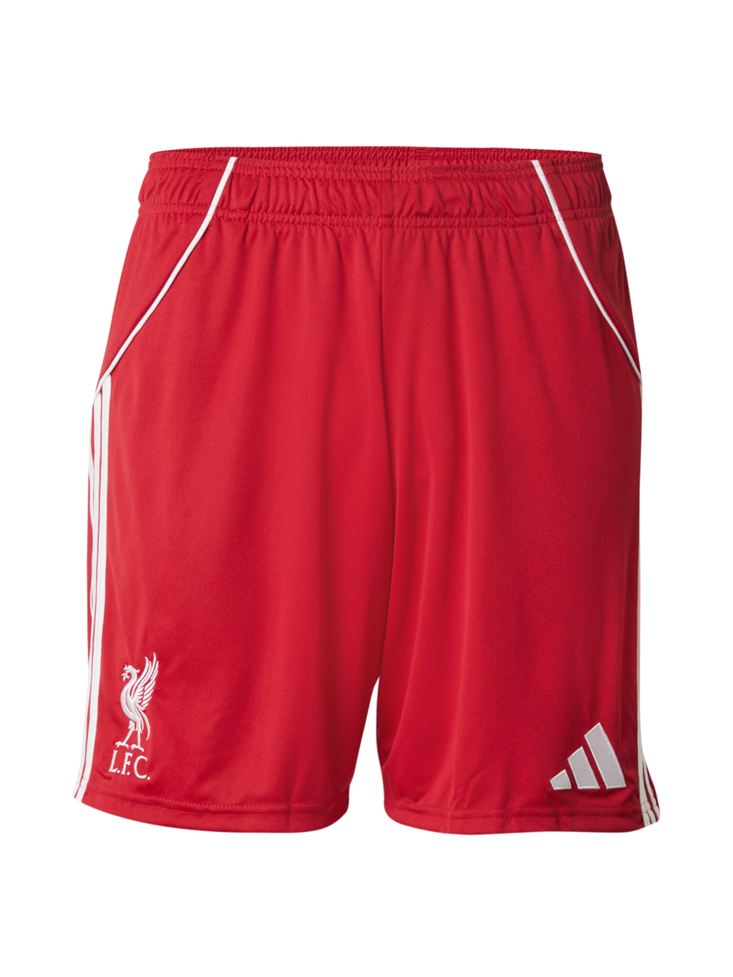 ADIDAS PERFORMANCE Regular Sportshorts 'FC Liverpool FC 25/26' in Rot: Vorderseite