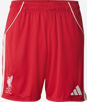 ADIDAS PERFORMANCE Regular Urheiluhousut 'FC Liverpool FC 25/26' värissä punainen: etupuoli