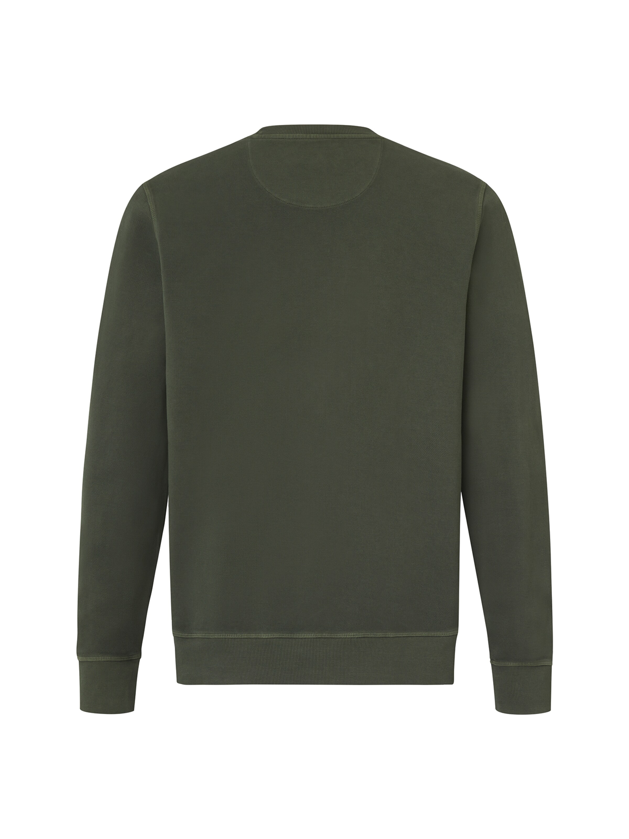 PADDOCKS Sweatshirt in Green