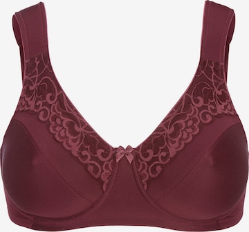 Cellbes of Sweden BH in Rot: Vorderseite