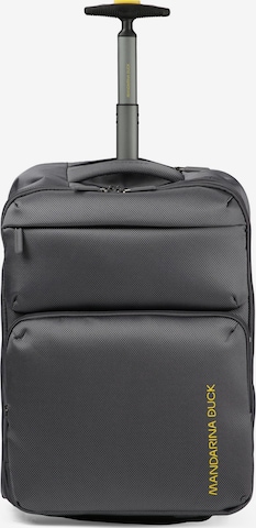 Trolley 'Zephyr' di MANDARINA DUCK in grigio: frontale